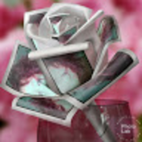 Meet your Posher, Robin - Picture 1 of 1